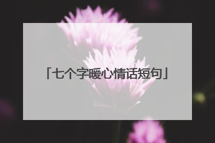 七个字暖心情话短句