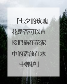 七夕的玫瑰花是否可以直接把插在花泥中的话放在水中养护