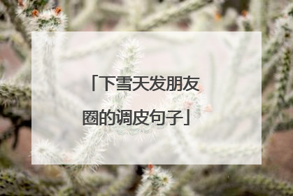 下雪天发朋友圈的调皮句子