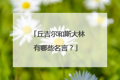 丘吉尔和斯大林有哪些名言？