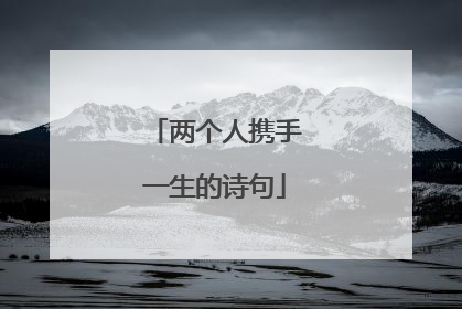 两个人携手一生的诗句