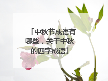 中秋节成语有哪些，关于中秋的四字成语