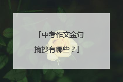 中考作文金句摘抄有哪些？