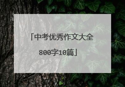 中考优秀作文大全800字10篇