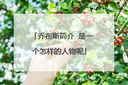 乔布斯简介 是一个怎样的人物呢