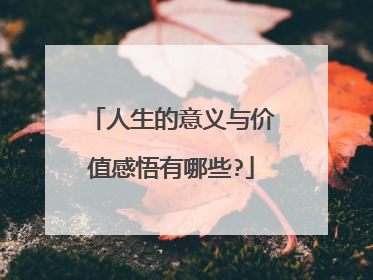 人生的意义与价值感悟有哪些?