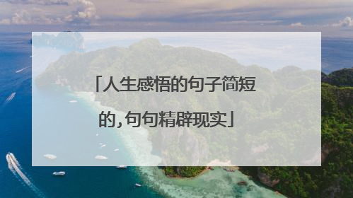 人生感悟的句子简短的,句句精辟现实