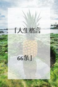 人生格言66条