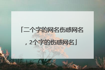 二个字的网名伤感网名，2个字的伤感网名