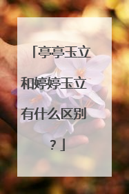 亭亭玉立和婷婷玉立有什么区别？