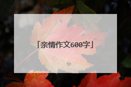 亲情作文600字