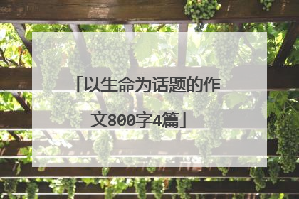 以生命为话题的作文800字4篇