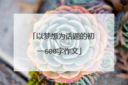 以梦想为话题的初一600字作文