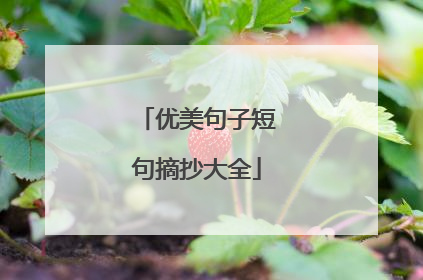 优美句子短句摘抄大全