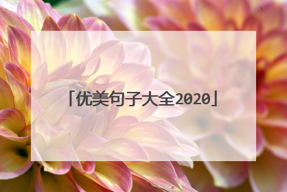 优美句子大全2020