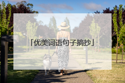 优美词语句子摘抄