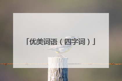 优美词语（四字词）