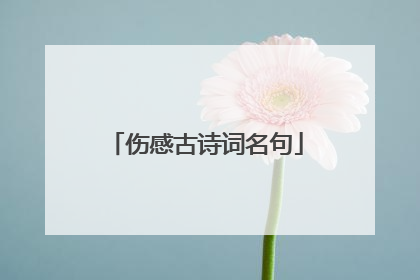 伤感古诗词名句