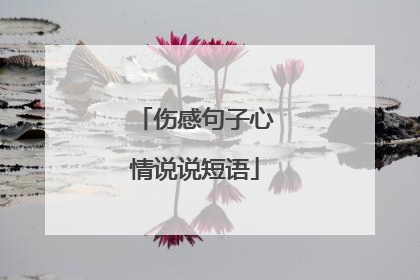 伤感句子心情说说短语