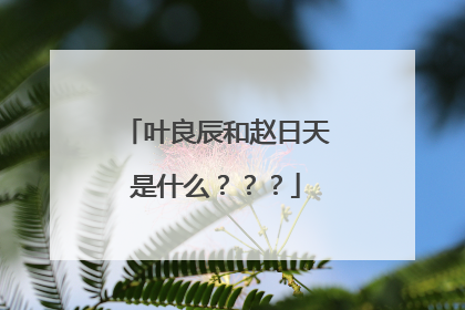 叶良辰和赵日天是什么？？？