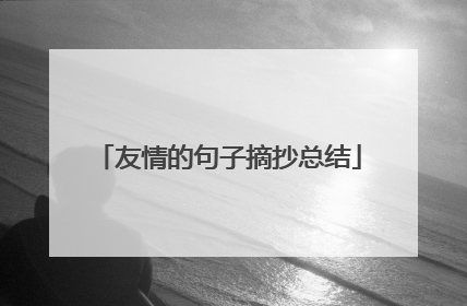 友情的句子摘抄总结