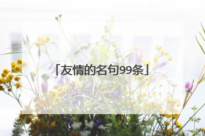 友情的名句99条