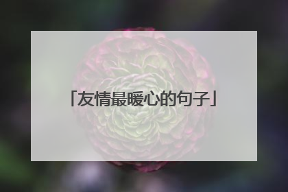 友情最暖心的句子