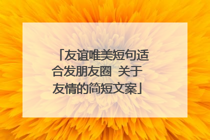 友谊唯美短句适合发朋友圈 关于友情的简短文案