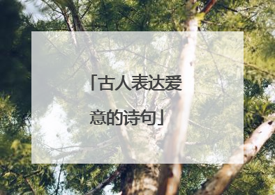 古人表达爱意的诗句