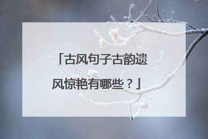 古风句子古韵遗风惊艳有哪些？