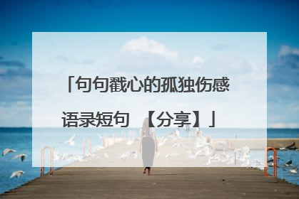 句句戳心的孤独伤感语录短句 【分享】