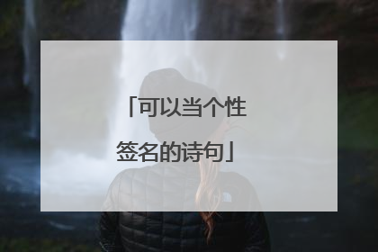 可以当个性签名的诗句