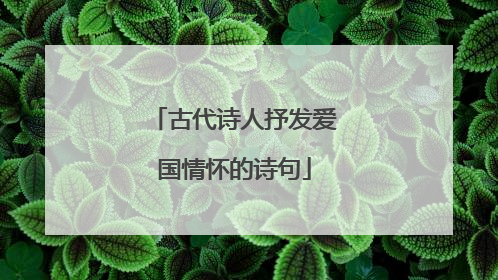 古代诗人抒发爱国情怀的诗句