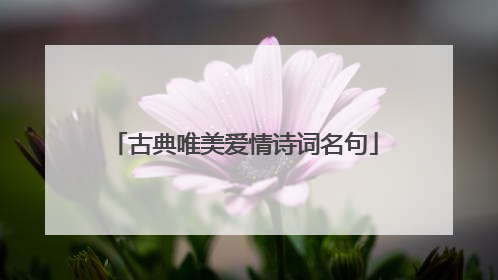 古典唯美爱情诗词名句