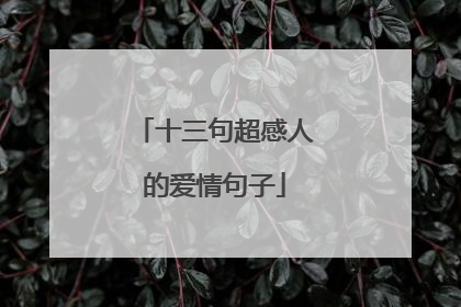 十三句超感人的爱情句子