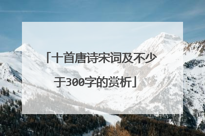 十首唐诗宋词及不少于300字的赏析