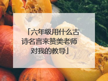 六年级用什么古诗名言来赞美老师对我的教导