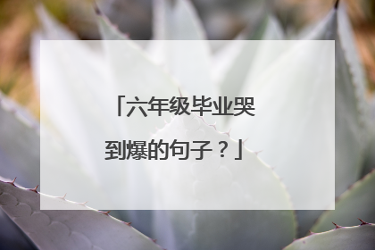 六年级毕业哭到爆的句子？