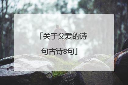 关于父爱的诗句古诗8句