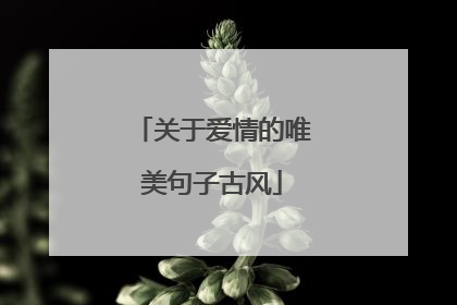 关于爱情的唯美句子古风