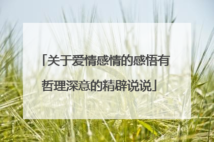 关于爱情感情的感悟有哲理深意的精辟说说