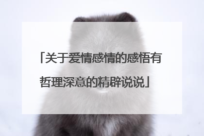 关于爱情感情的感悟有哲理深意的精辟说说