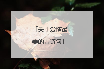 关于爱情最美的古诗句