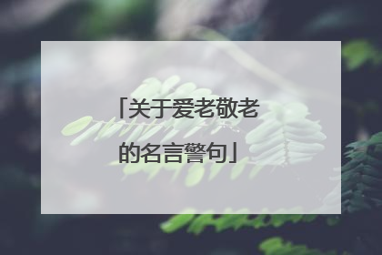 关于爱老敬老的名言警句