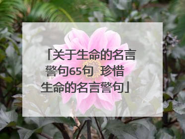 关于生命的名言警句65句 珍惜生命的名言警句