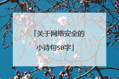 关于网络安全的小诗句50字