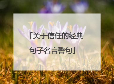 关于信任的经典句子名言警句