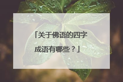 关于佛语的四字成语有哪些？