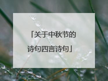 关于中秋节的诗句四言诗句