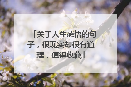 关于人生感悟的句子，很现实却很有道理，值得收藏